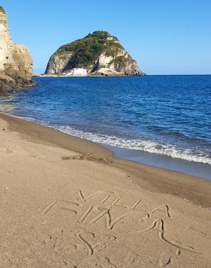 Villa Bina Sea Hotel Sant'Angelo  Εξωτερικό φωτογραφία