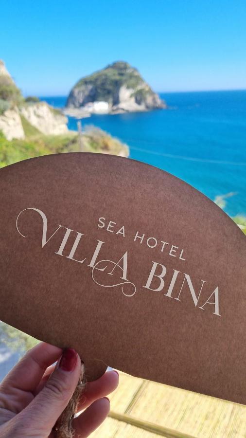 Villa Bina Sea Hotel Sant'Angelo  Εξωτερικό φωτογραφία